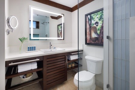 Sandals Barbados - 98