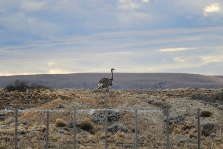 Patagonie, Ohňová země, vodopády Iguaçu - 3