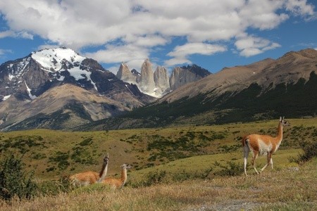Patagonie, Ohňová země, vodopády Iguaçu - 17