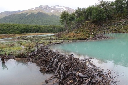 Patagonie, Ohňová země, vodopády Iguaçu - 22