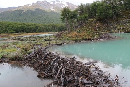 Patagonie, Ohňová země, vodopády Iguaçu - 36