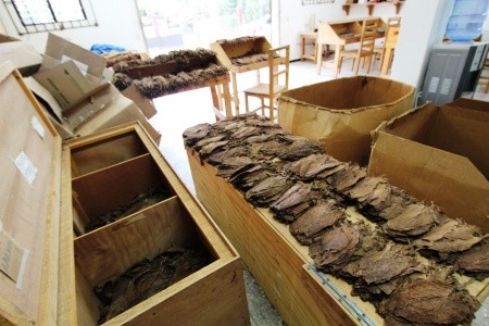 Dominikánská republika - poznávání, lehká turistika, relax - 3