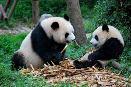 Perly Číny s Tibetom - 2