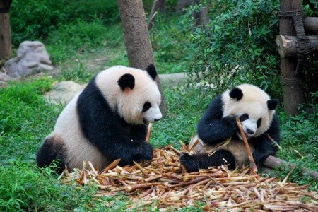 Perly Číny s Tibetom - 15