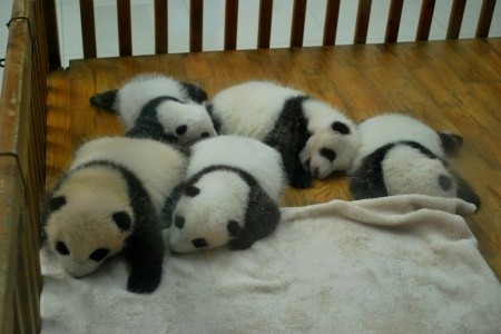 Perly Číny s Tibetom - 17