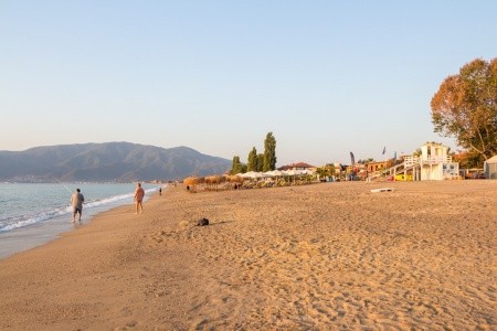 Studia Anna - 12