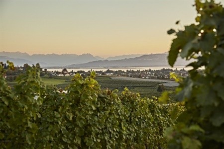 Alpské parky a střediska rakousko-švýcarského pomezí s kartou Montafon Brandnertal WildPass - 17