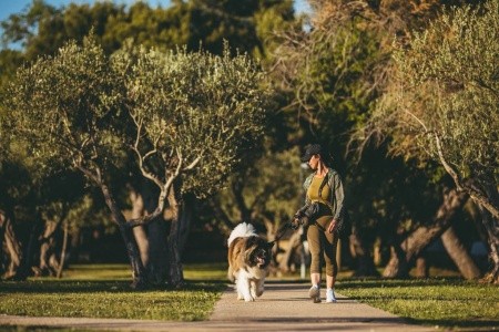 Naturist Park Koversada Apartments - 12