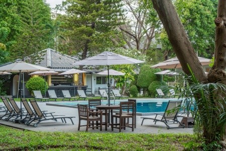 Sunshine Garden - 57