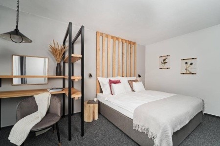 Maďarsko Južné Zadunajsko Well Hotel 3 dňový pobyt Raňajky Vlastná January 2026 (24/01/26-26/01/26)