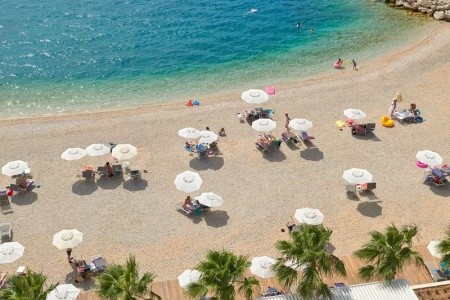 Medora Auri (Ex. Minerva) - 17