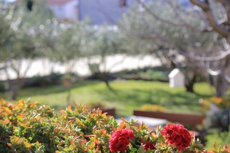 Apartmány 3298-3866 - 44