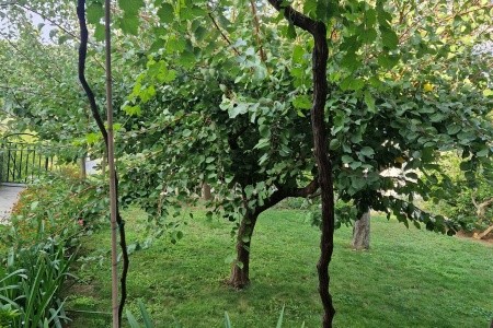 Apartmány 3298N-8091 - 6