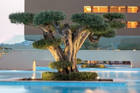 Amada Colossos Resort - 51