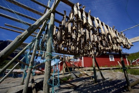 NORSKO – Cesta za půlnočním sluncem na Lofoty a Nordkapp - 17