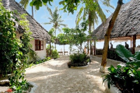 Sea View Lodge (Jambiani) - 24