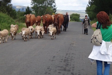 Svatojakubská pouť - cestou do S. de Compostela - 9