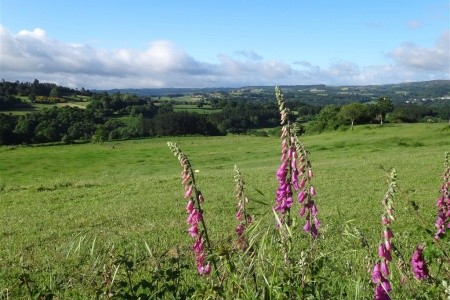 Svatojakubská pouť - cestou do S. de Compostela - 16