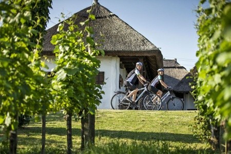 Appartements Prekmurska Vas - 4