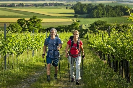 Appartements Prekmurska Vas - 13