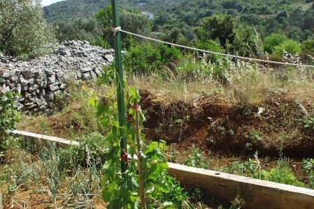 Apartmány 3298-242 - 17