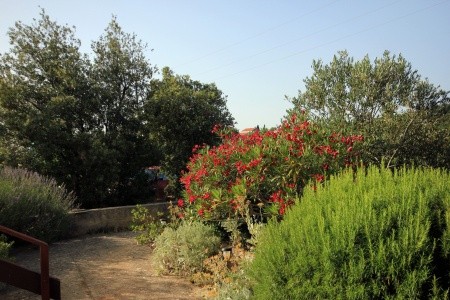 Apartmány 3298-242 - 13