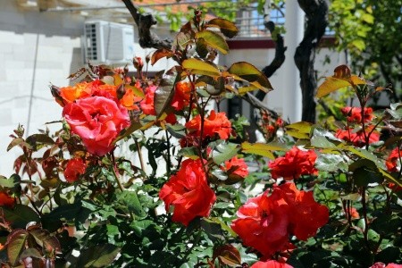 Apartmány 3298-777 - 70