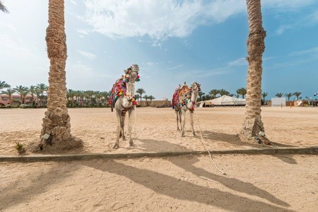 Dream Lagoon & Aquapark Resort (Ex. Soulotel Dream Resort & Spa) - 25