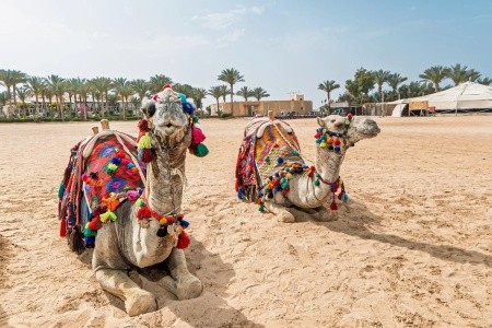 Dream Lagoon & Aquapark Resort (Ex. Soulotel Dream Resort & Spa) - 26