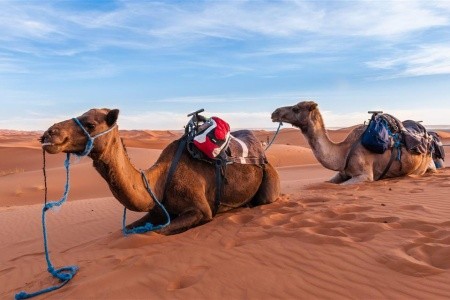 Maroko - kráľovské mestá a magická púšť - 23