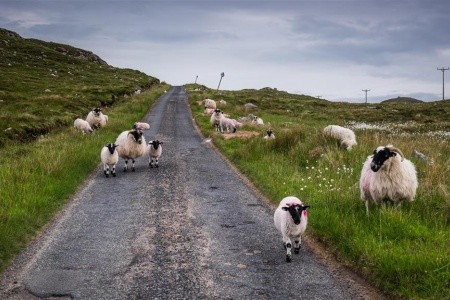 Tajomstvá Škótska a jazera Loch Ness - 15