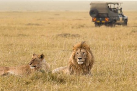 Szafari (2+5) - Masai Mara - 5