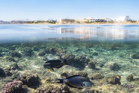 The Three Corners Equinox Beach Resort - 4