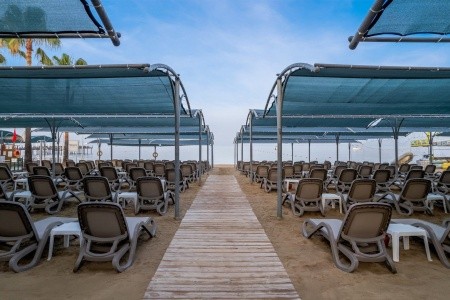 Trendy Palm Beach - 4