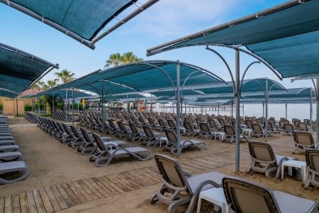 Trendy Palm Beach - 5