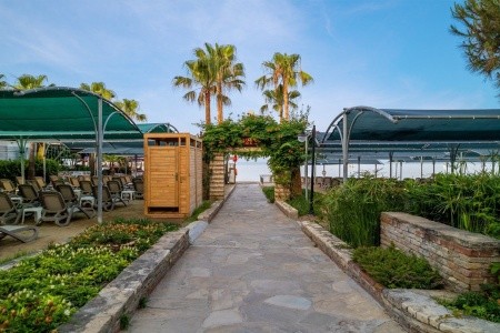 Trendy Palm Beach - 6