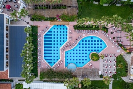 Trendy Palm Beach - 7