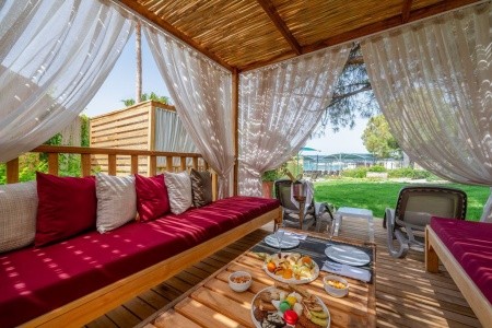 Trendy Palm Beach - 45