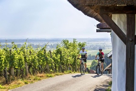 Appartements Prekmurska Vas - 7