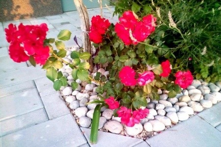 Apartmány 3298-2420 - 3