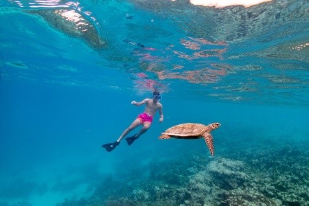 Eri Maldives (Ex. Eriyadu Island Resort) - 54