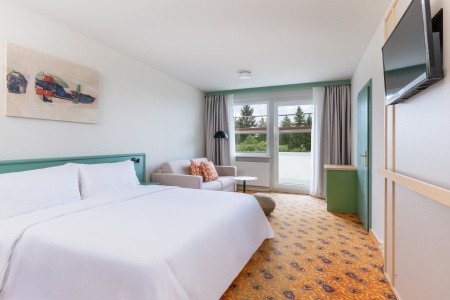 Ifa Schöneck Hotel & Ferienpark (Schöneck) - 97