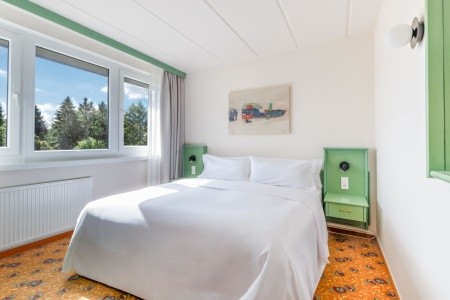 Ifa Schöneck Hotel & Ferienpark (Schöneck) - 111