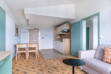 Ifa Schöneck Hotel & Ferienpark (Schöneck) - 116