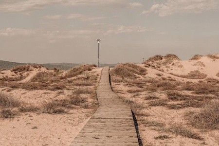 Sunny Beach Club (Ex. Cook's Club Sunny Beach) - 36