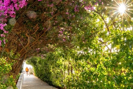 Taliansko Kalábria Ipomea Club 11 dňový pobyt Plná penzia Letecky Letisko: Praha June 2026 (16/06/26-26/06/26)