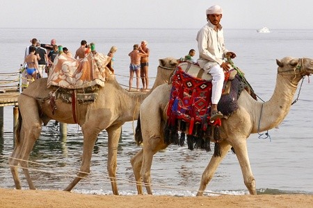 Happy Life Village - 8