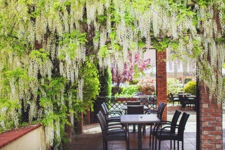 Maďarsko Západné Zadunajsko Caramell Premium Resort 8 dňový pobyt Polpenzia Vlastná May 2026 (10/05/26-17/05/26)