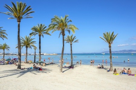 Španielsko Mallorca Kilimanjaro 7 dňový pobyt Raňajky Letecky Letisko: Praha September 2026 (14/09/26-20/09/26)