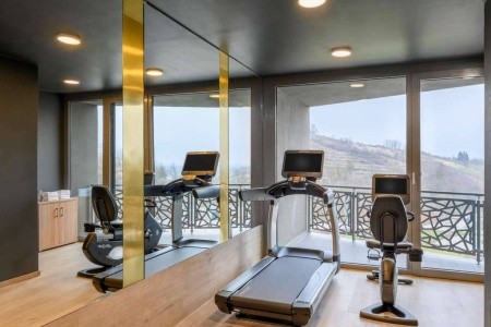 Maďarsko Severné Maďarsko Minaro Hotel Tokaj Mgallery 3 dňový pobyt Raňajky Vlastná August 2026 (30/08/26- 1/09/26)